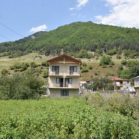 Отель Гостевой дом Saba Местия Экстерьер фото