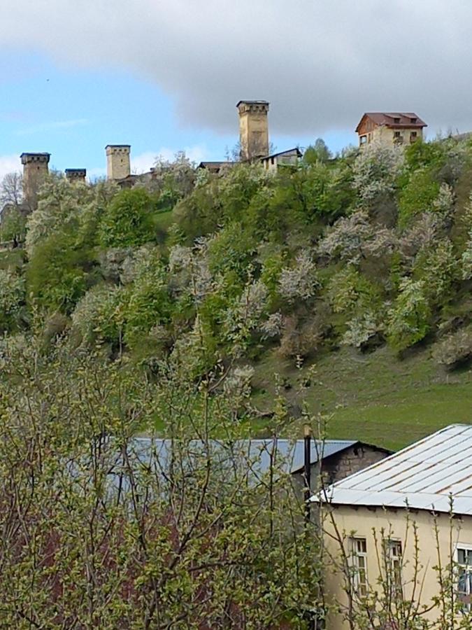 Отель Гостевой дом Saba Местия Экстерьер фото