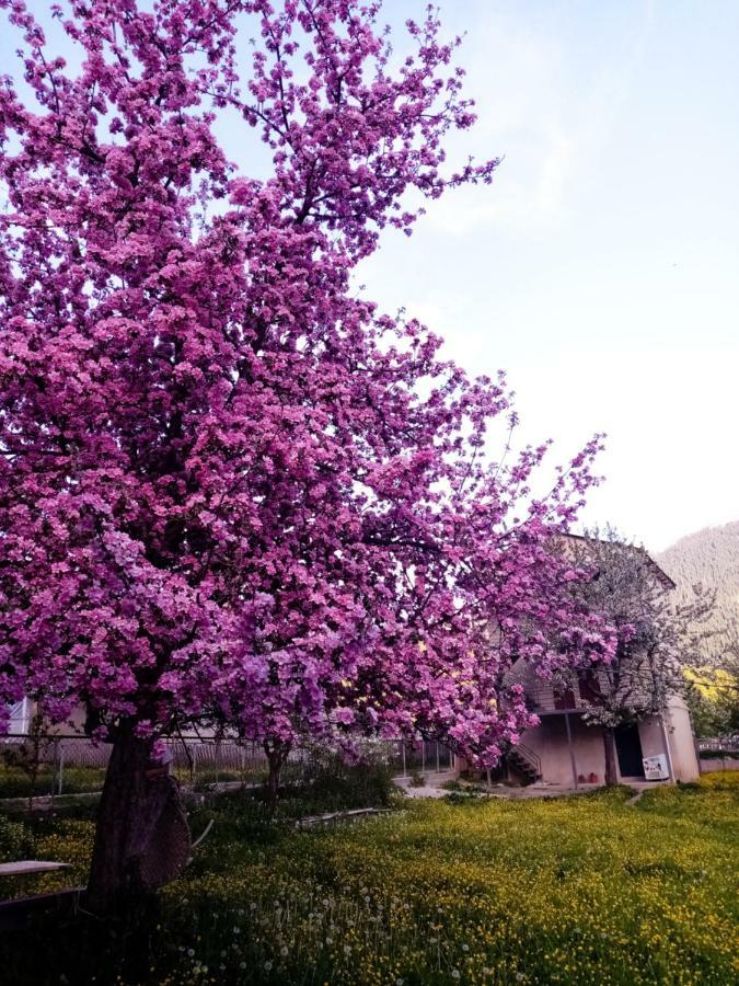 Отель Гостевой дом Saba Местия Экстерьер фото